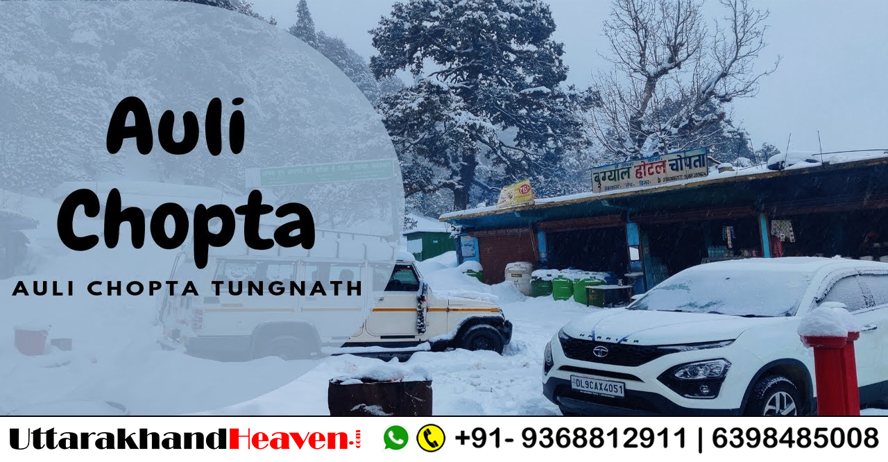 3 Night 4 Days Auli & Chopta Tour packages